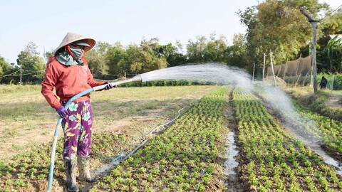 Huyện Duyên Hải: Phát huy vai trò của phụ nữ trong xây dựng nông thôn mới